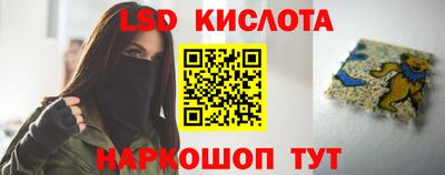 индика Рыбинск