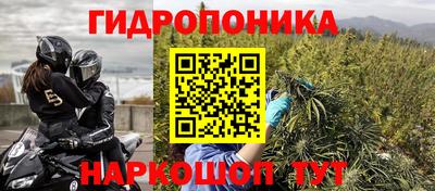 прущие крисы Пугачёв