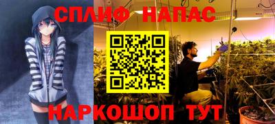 Альфа ПВП Пыть-Ях