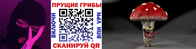 Галлюциногенные грибы Cubensis  Саранск 