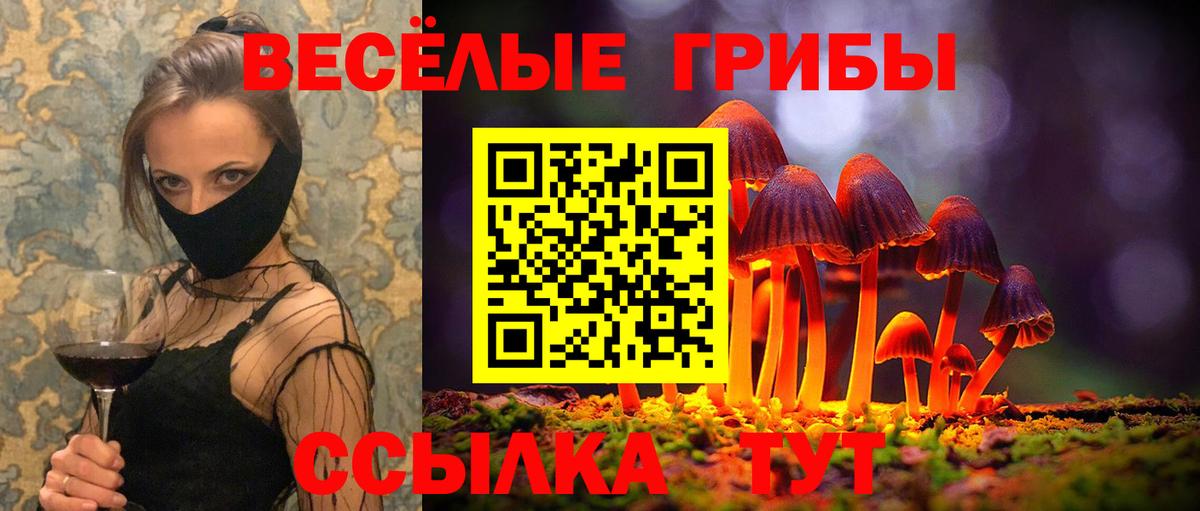 Саранск  где можно купить наркотик  Галлюциногенные грибы мухоморы  Вход с VPN  Псилоцибиновые грибы Psilocybe 