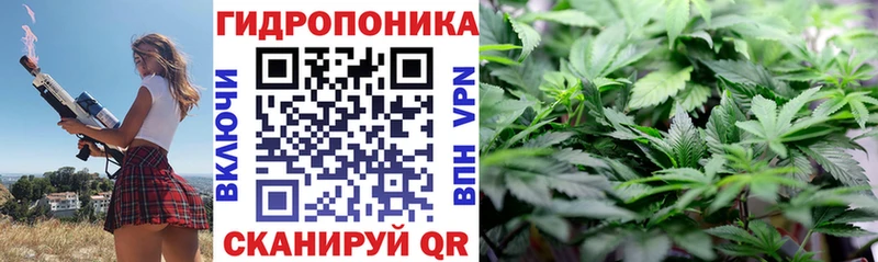 дарнет шоп  Саранск  МАРИХУАНА план 
